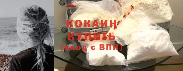 мдпв Магас